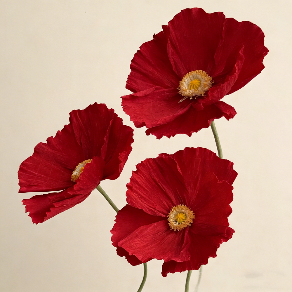 Bomng Ethereal Crepe Paper Poppy Red Art Installation
