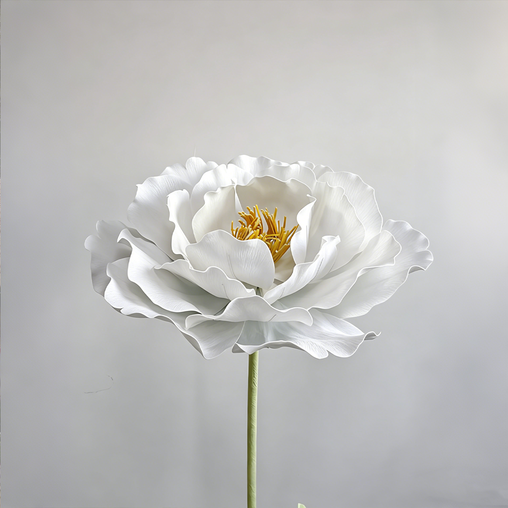 Bomng Peony Regal Stillness White Premium Flower