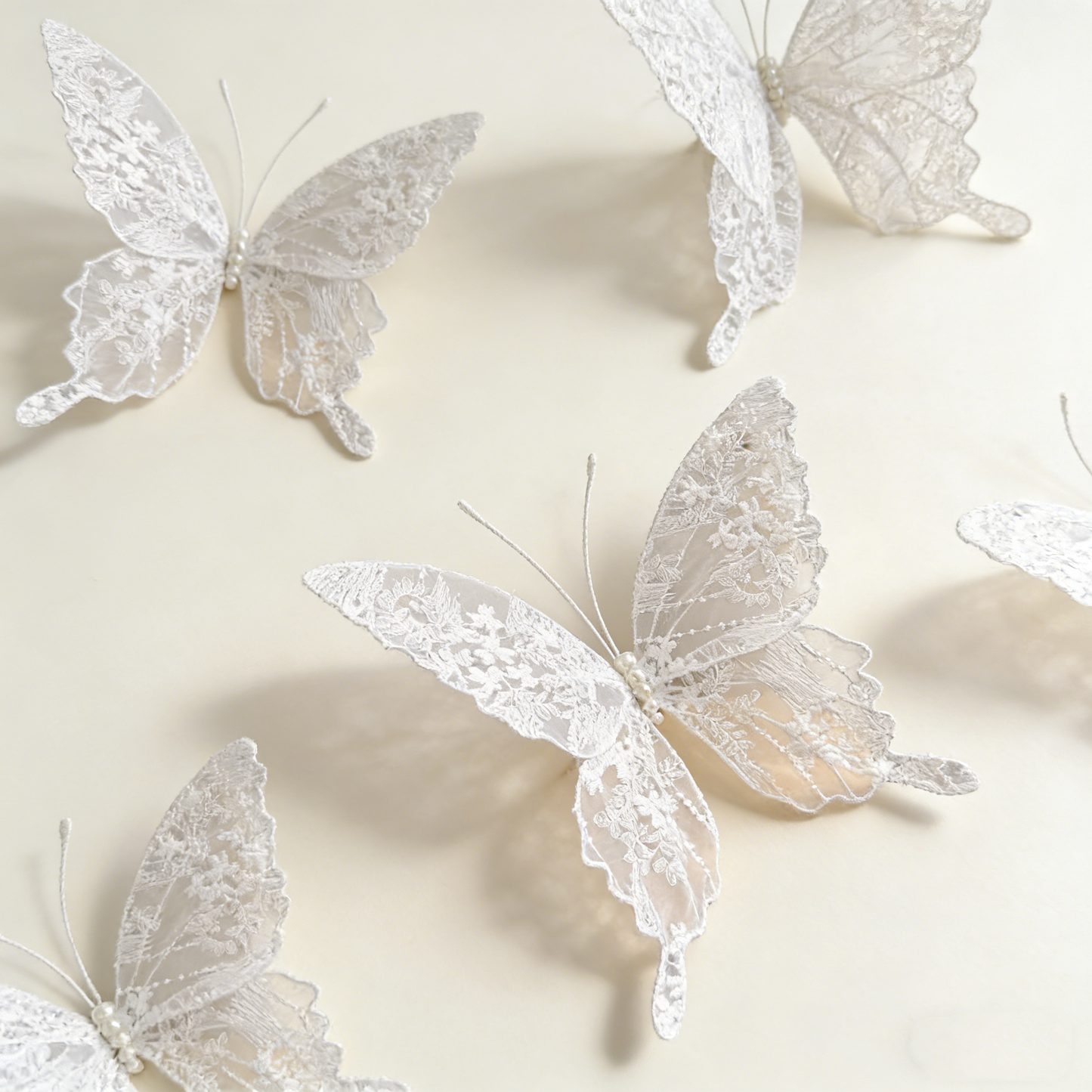 Bomng Velvet Wing Lace Art Accent
