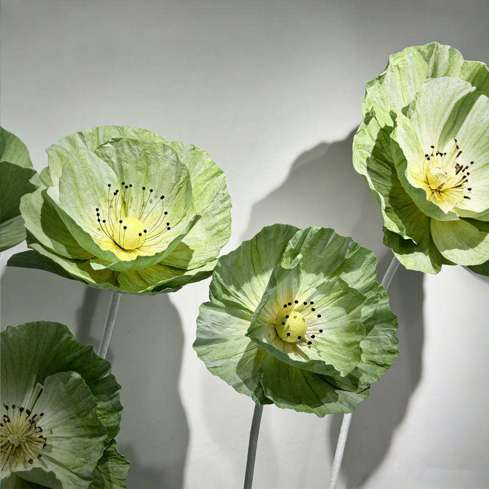 Bomng Evergreen Poppy Premium Flower