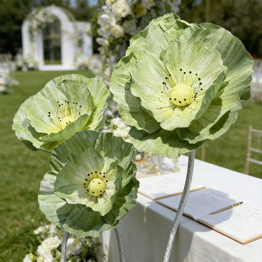 Bomng Evergreen Poppy Premium Flower