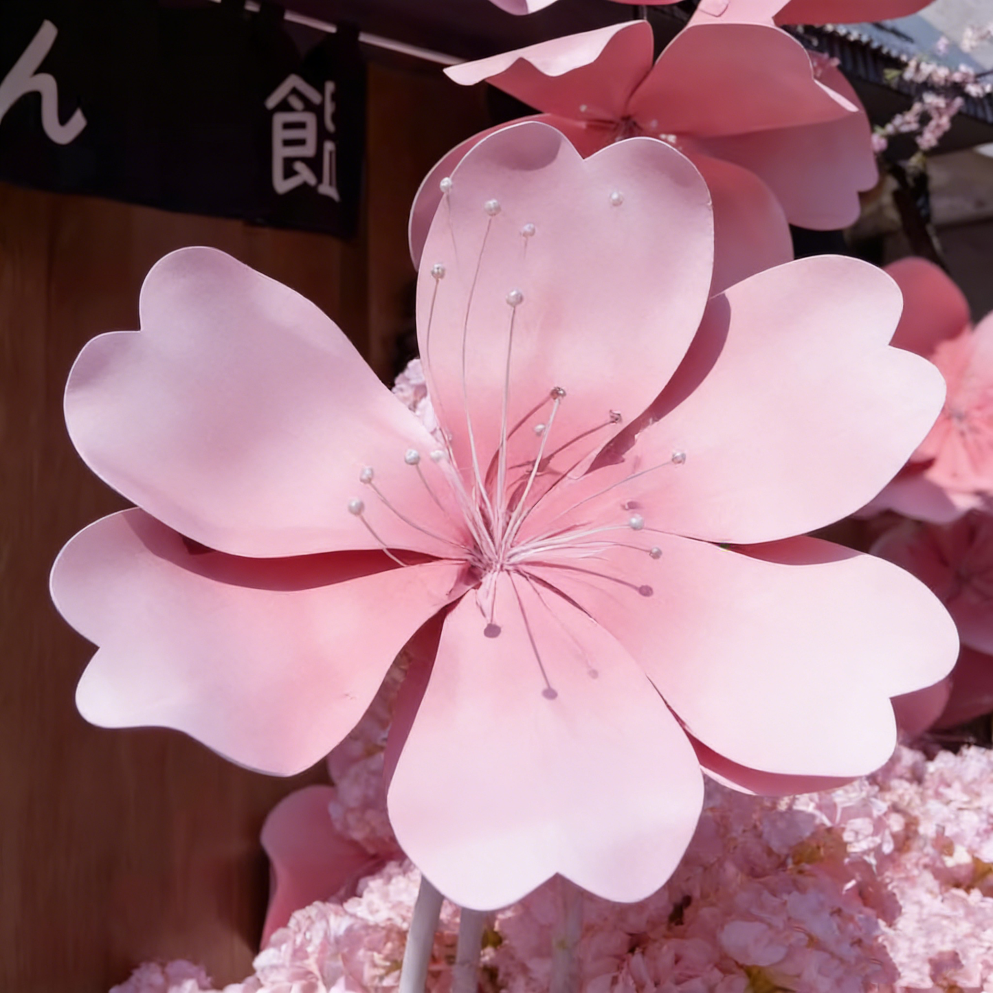 Bomng Radiant Sakura Premium Flower