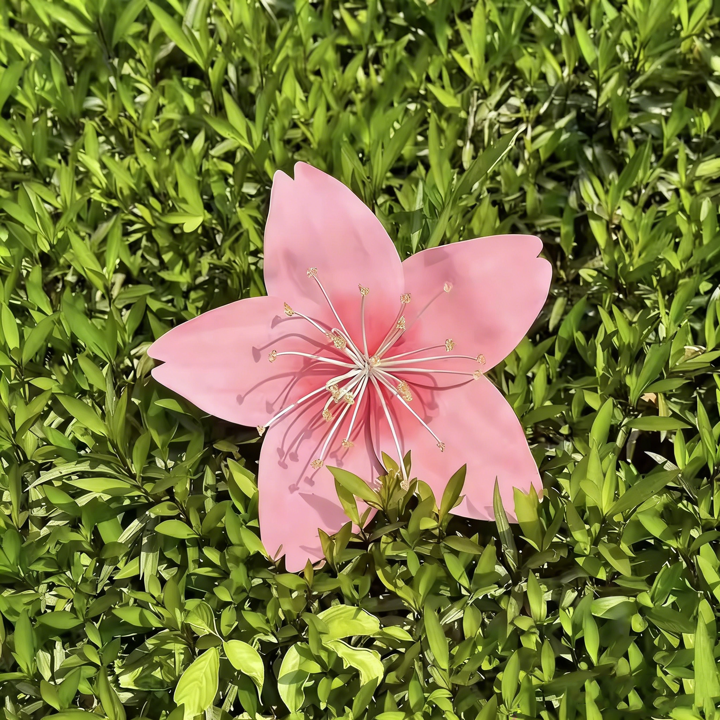 Bomng Radiant Sakura Premium Flower