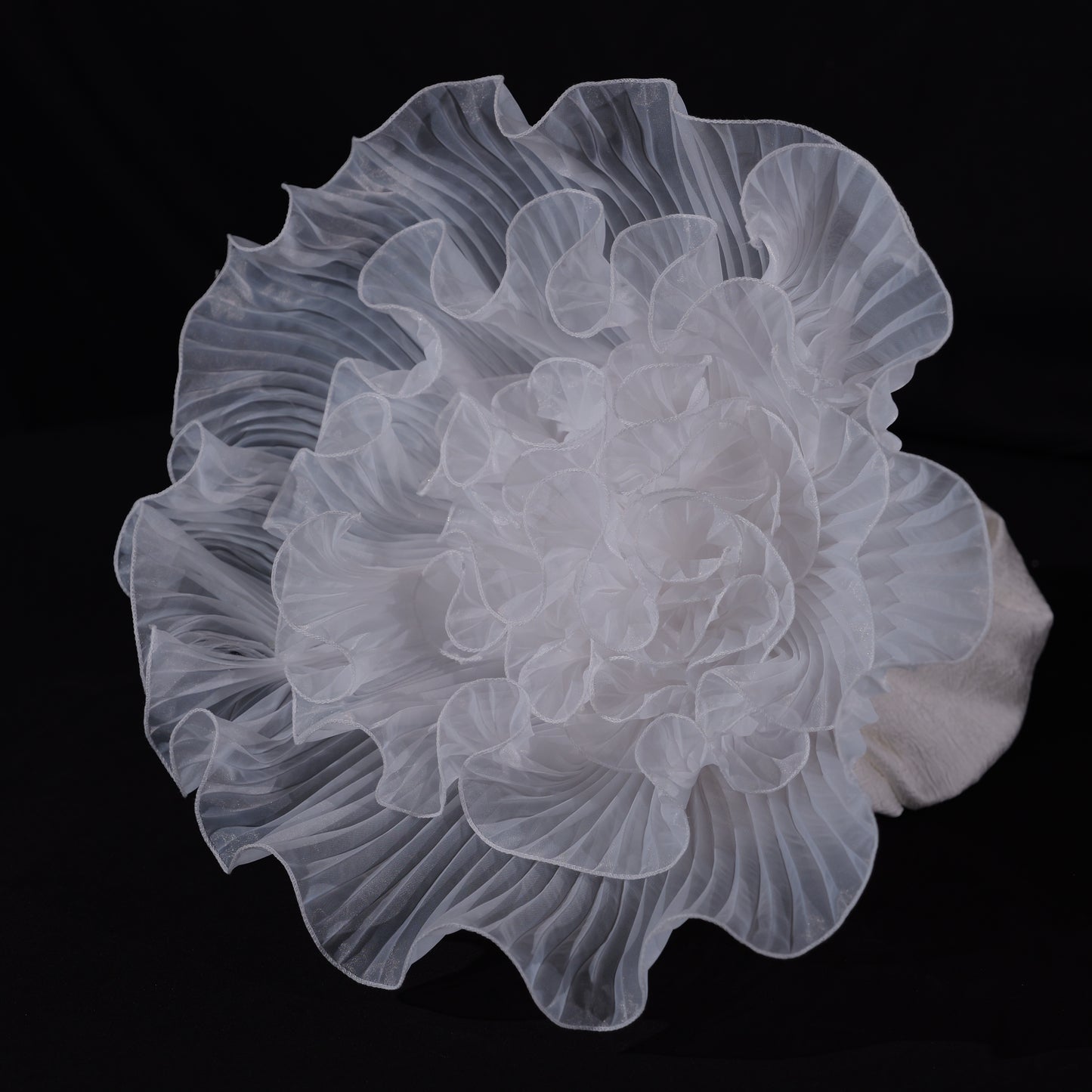 Bomng Cloud Whisper Premium Flower
