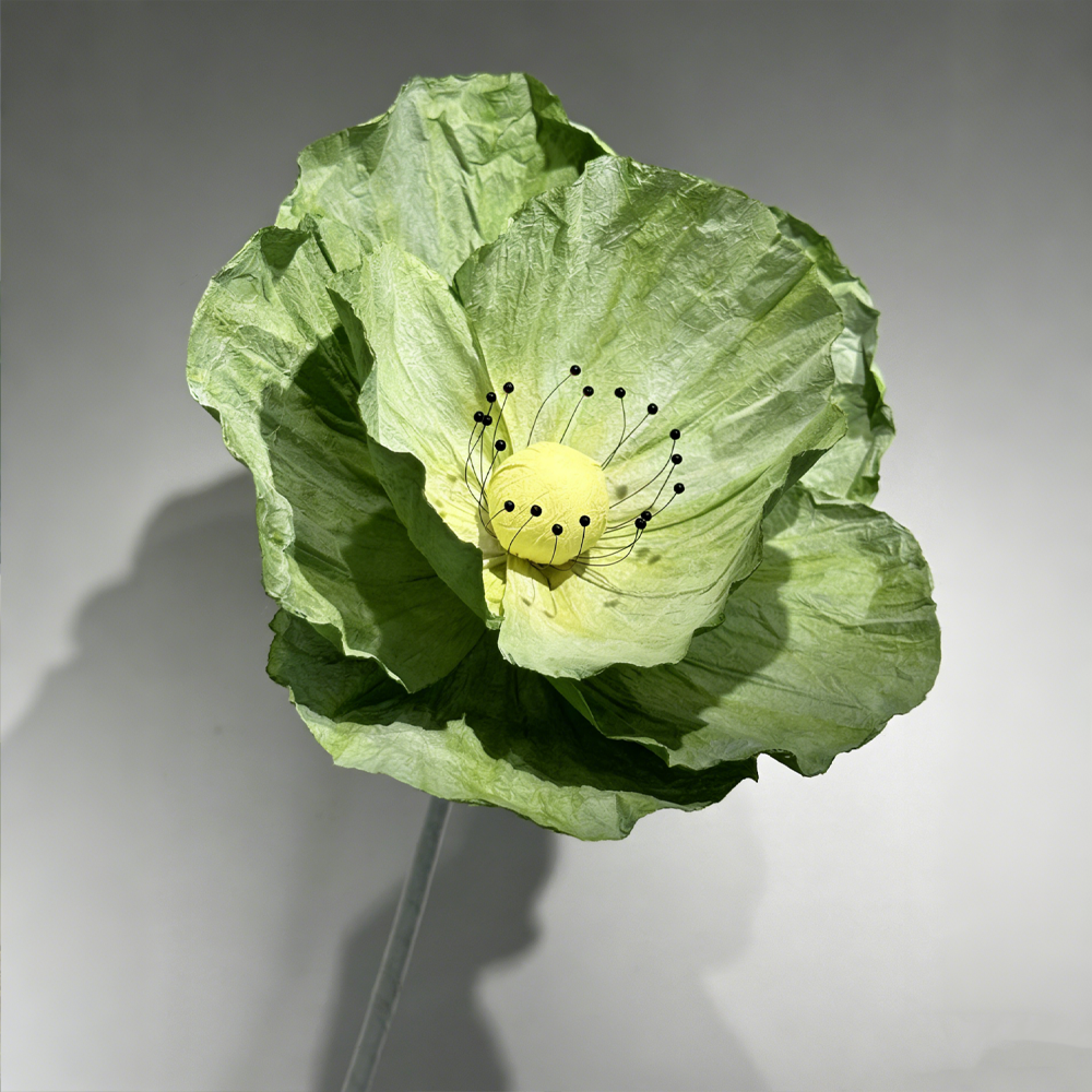 Bomng Evergreen Poppy Premium Flower