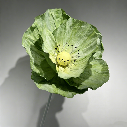 Bomng Evergreen Poppy Premium Flower