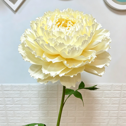 Bomng Imperial Cream Paper Peony Premium Flower