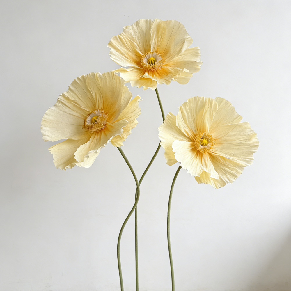 Bomng Ethereal Crepe Paper Poppy Art Installation
