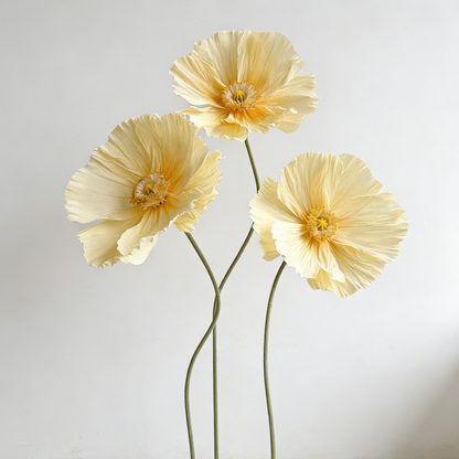 Bomng Ethereal Crepe Paper Poppy Art Installation