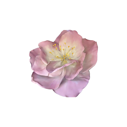 Bomng Gradient Pink Peony Premium Flower