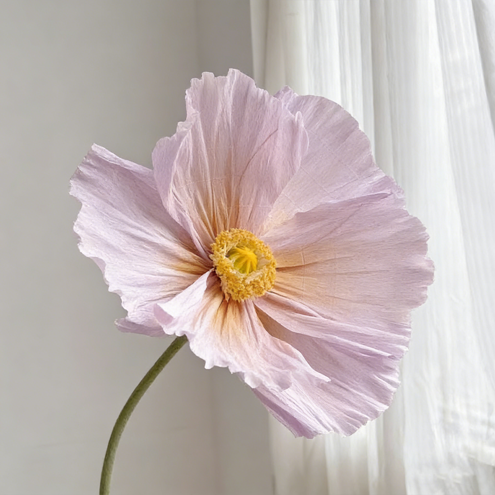 Bomng Ethereal Crepe Paper Poppy Art Installation
