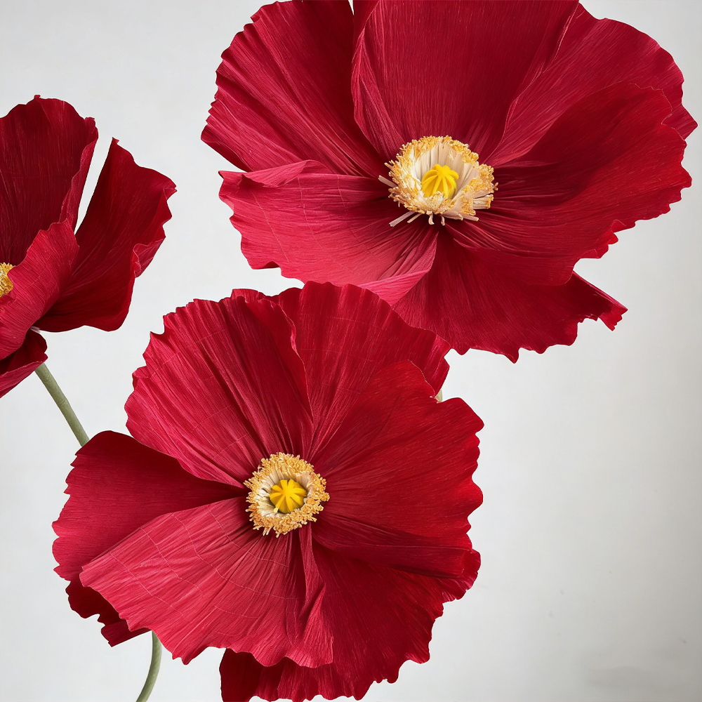 Bomng Ethereal Crepe Paper Poppy Art Installation