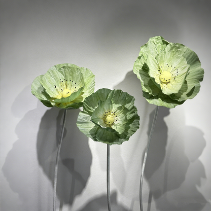 Bomng Evergreen Poppy Premium Flower