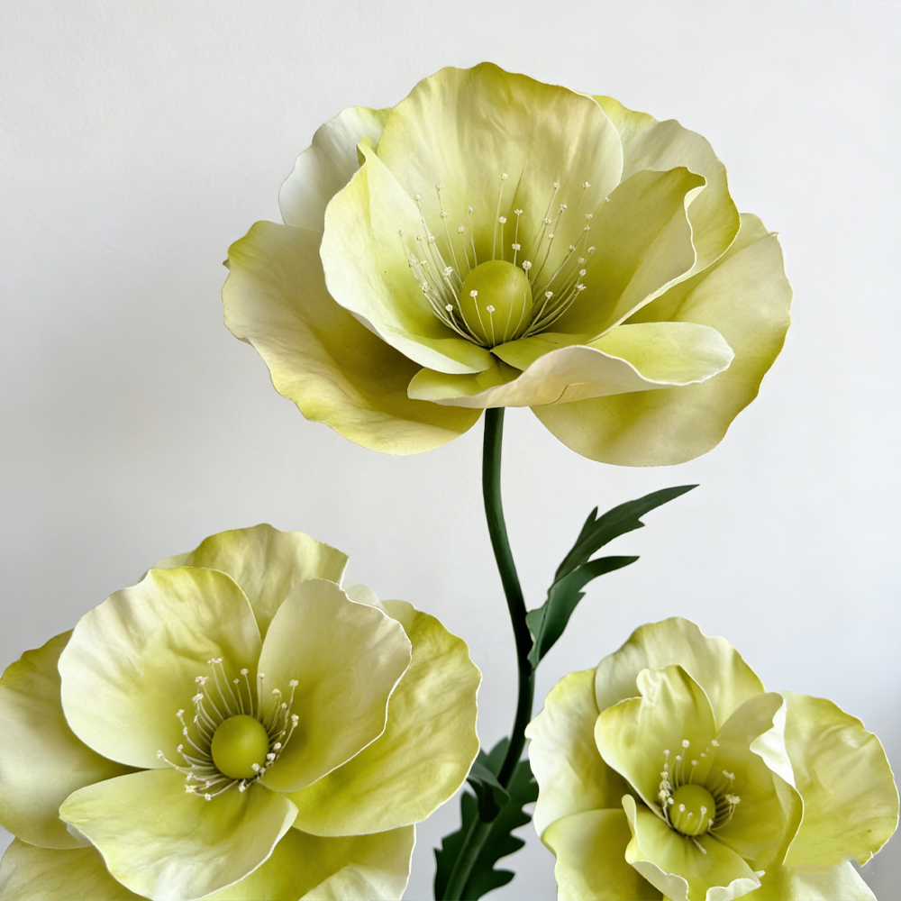 Bomng Luminous Sheer Poppy Premium Flower