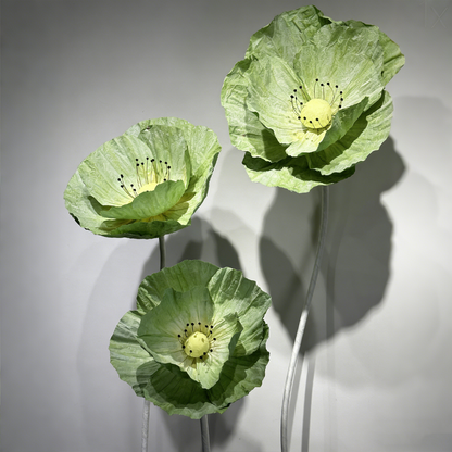 Bomng Evergreen Poppy Premium Flower
