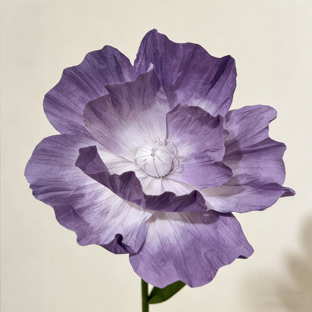 Bomng Enduring Purple Gradient Premium Flower