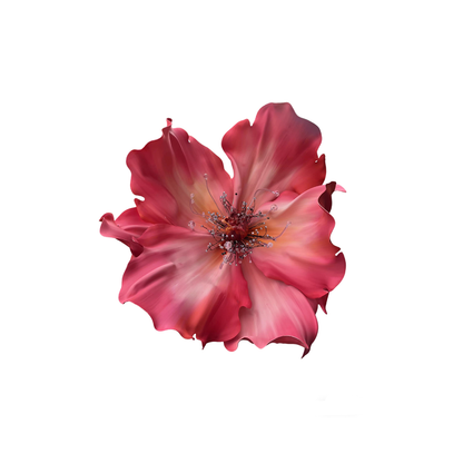 Bomng Effortless Grace Premium Flower