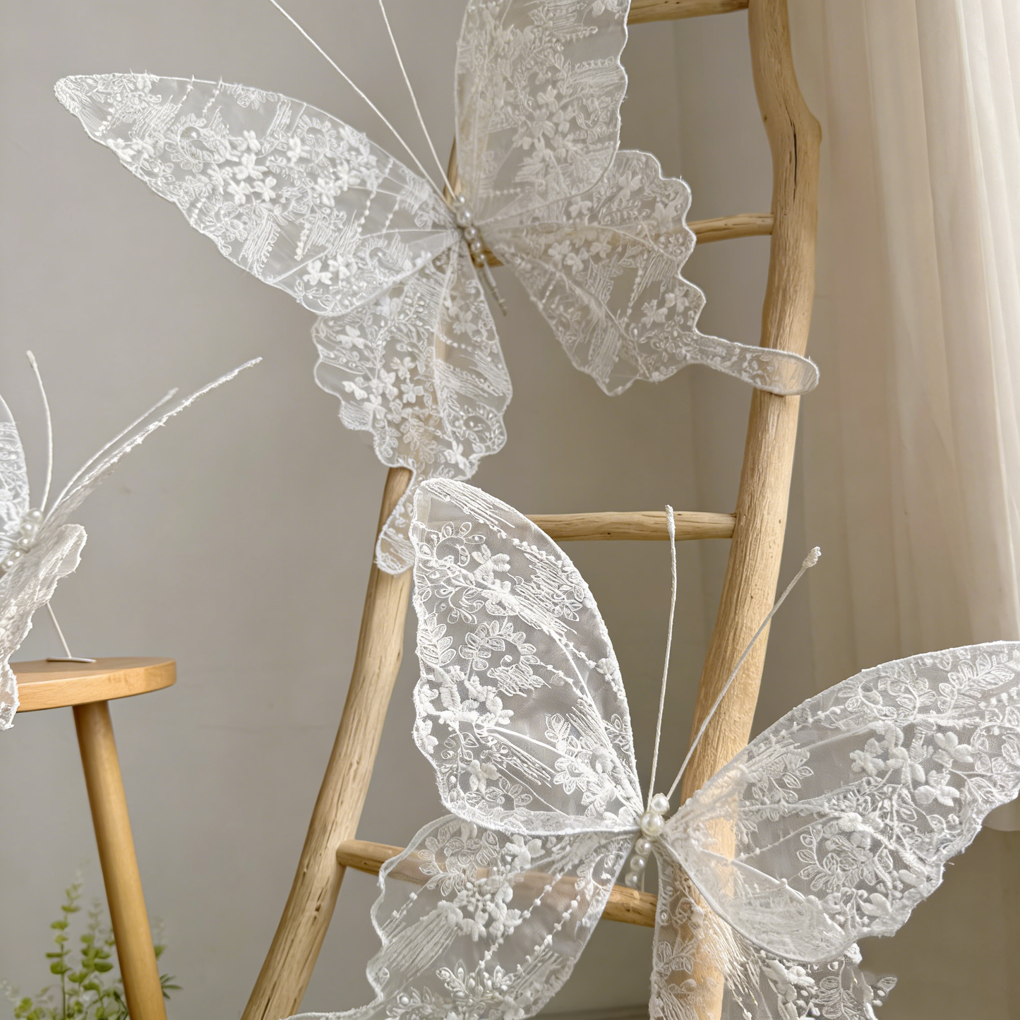 Bomng Velvet Wing Lace Art Accent