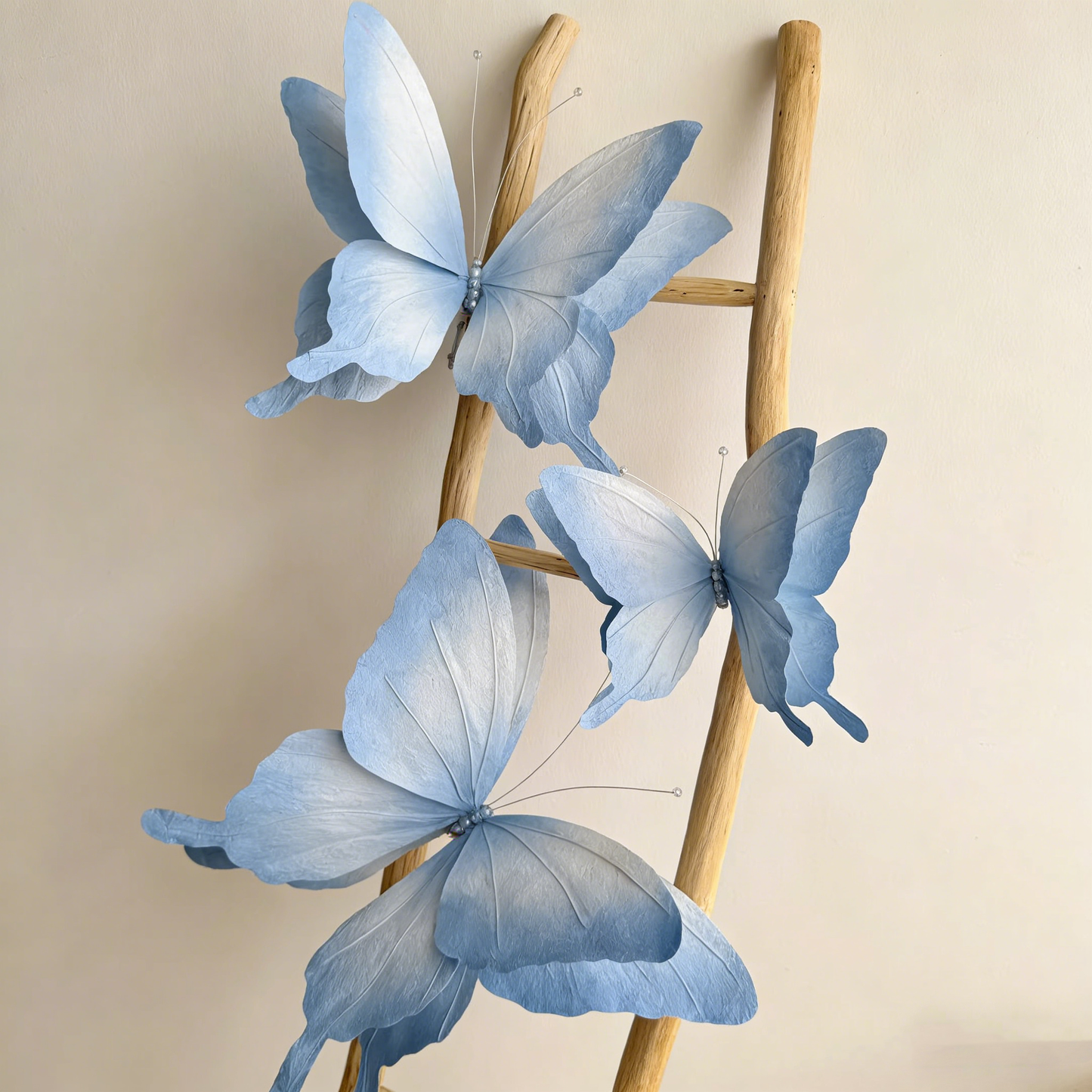Bomng Papillon Blue Flutter Art Accent