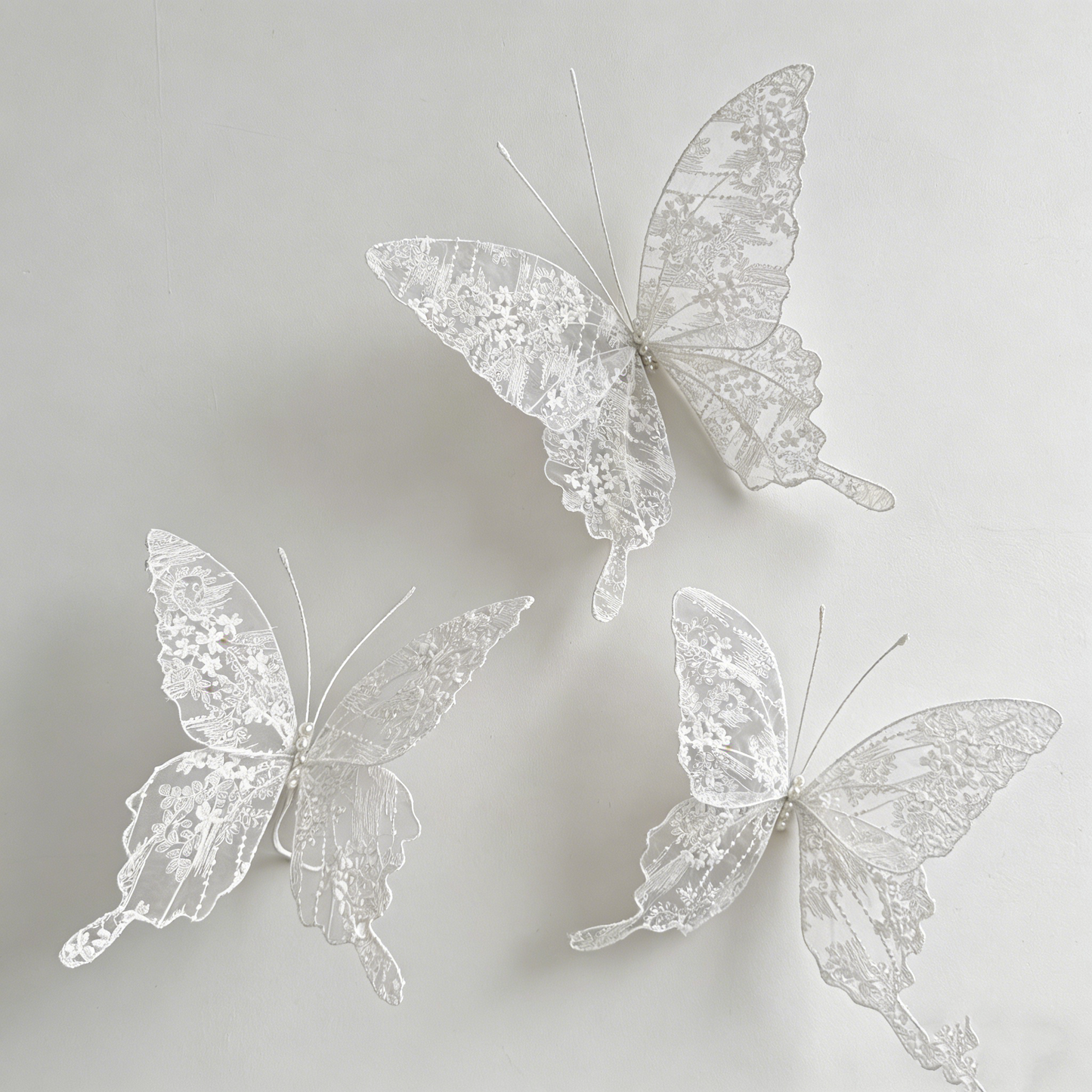 Bomng Velvet Wing Lace Art Accent
