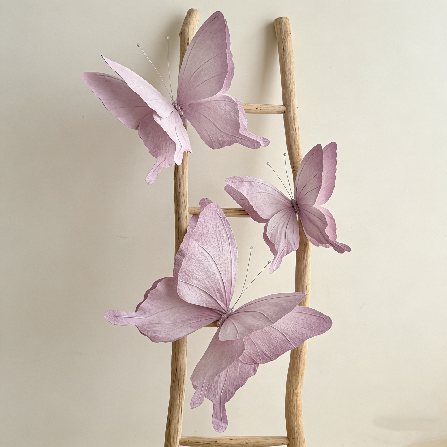 Bomng Papillon Flutter Art Accent