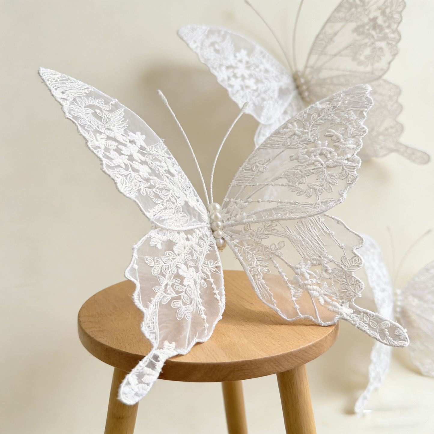 Bomng Velvet Wing Lace Art Accent