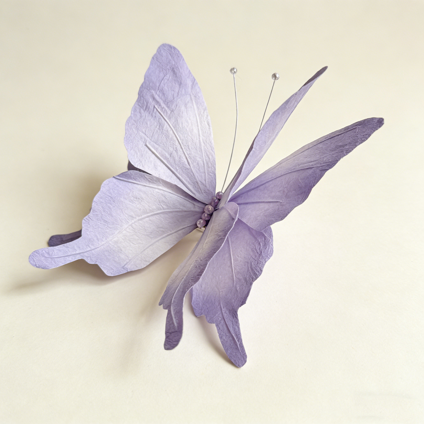 Bomng Papillon Flutter Art Accent