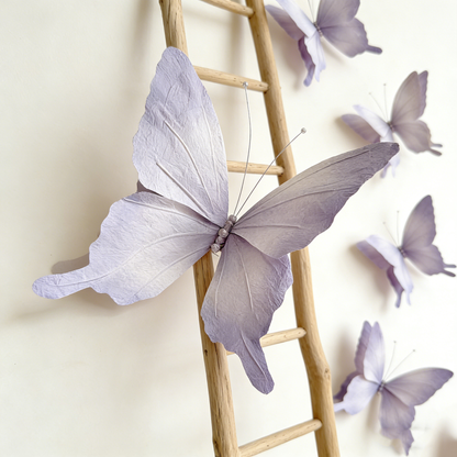 Bomng Papillon Flutter Art Accent