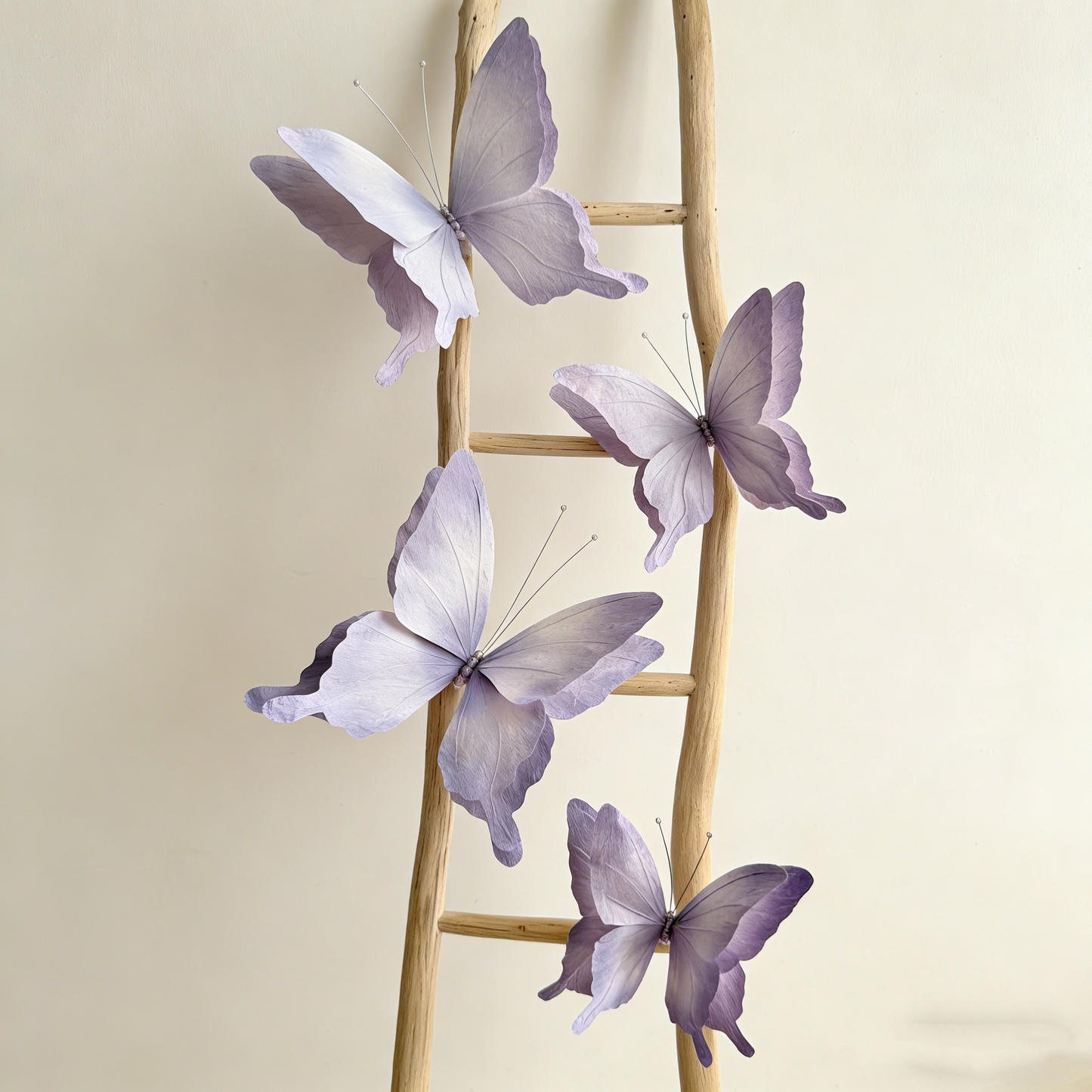 Bomng Papillon Flutter Art Accent