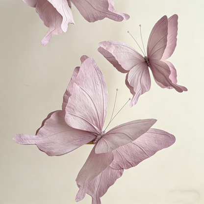 Bomng Papillon Flutter Art Accent