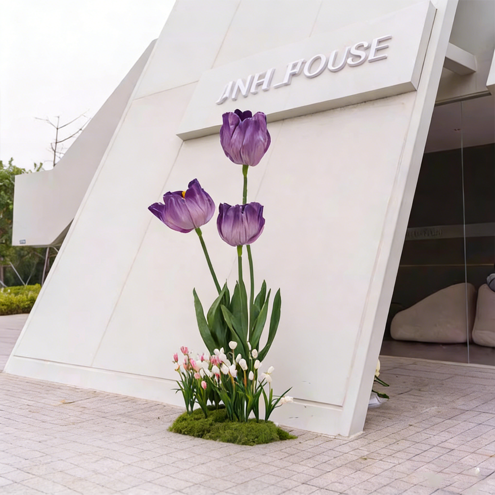 Bomng Tulip Ensemble Premium Decor-Set C