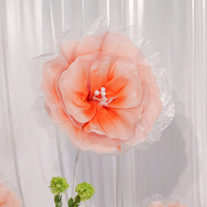Bomng Peach Tulle-Trimmed Premium Flower