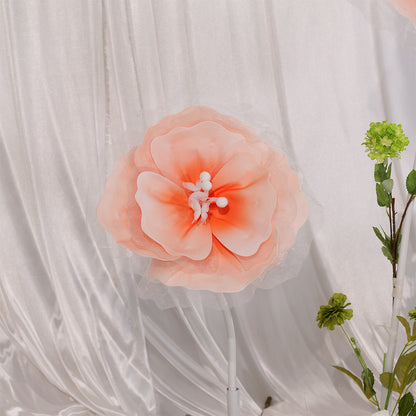 Bomng Peach Tulle-Trimmed Premium Flower