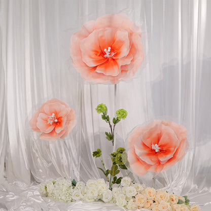 Bomng Peach Tulle-Trimmed Premium Flower