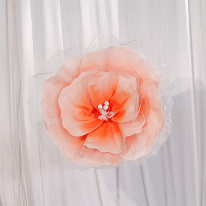 Bomng Peach Tulle-Trimmed Premium Flower