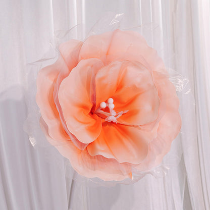 Bomng Peach Tulle-Trimmed Premium Flower